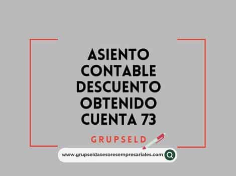 Asiento Contable Descuento Obtenido Cuenta 73